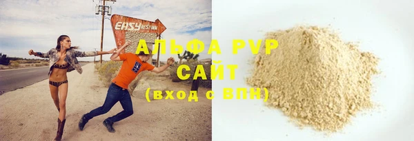 индика Няндома