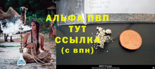 амф Осинники
