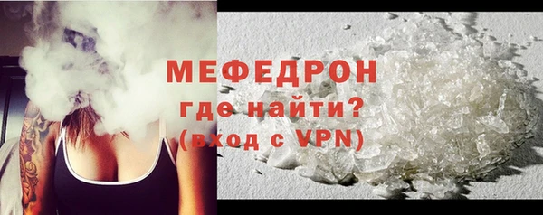 индика Няндома