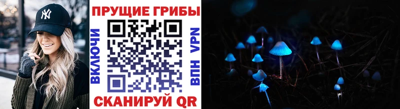 цена   Нижняя Тура  Псилоцибиновые грибы Cubensis 